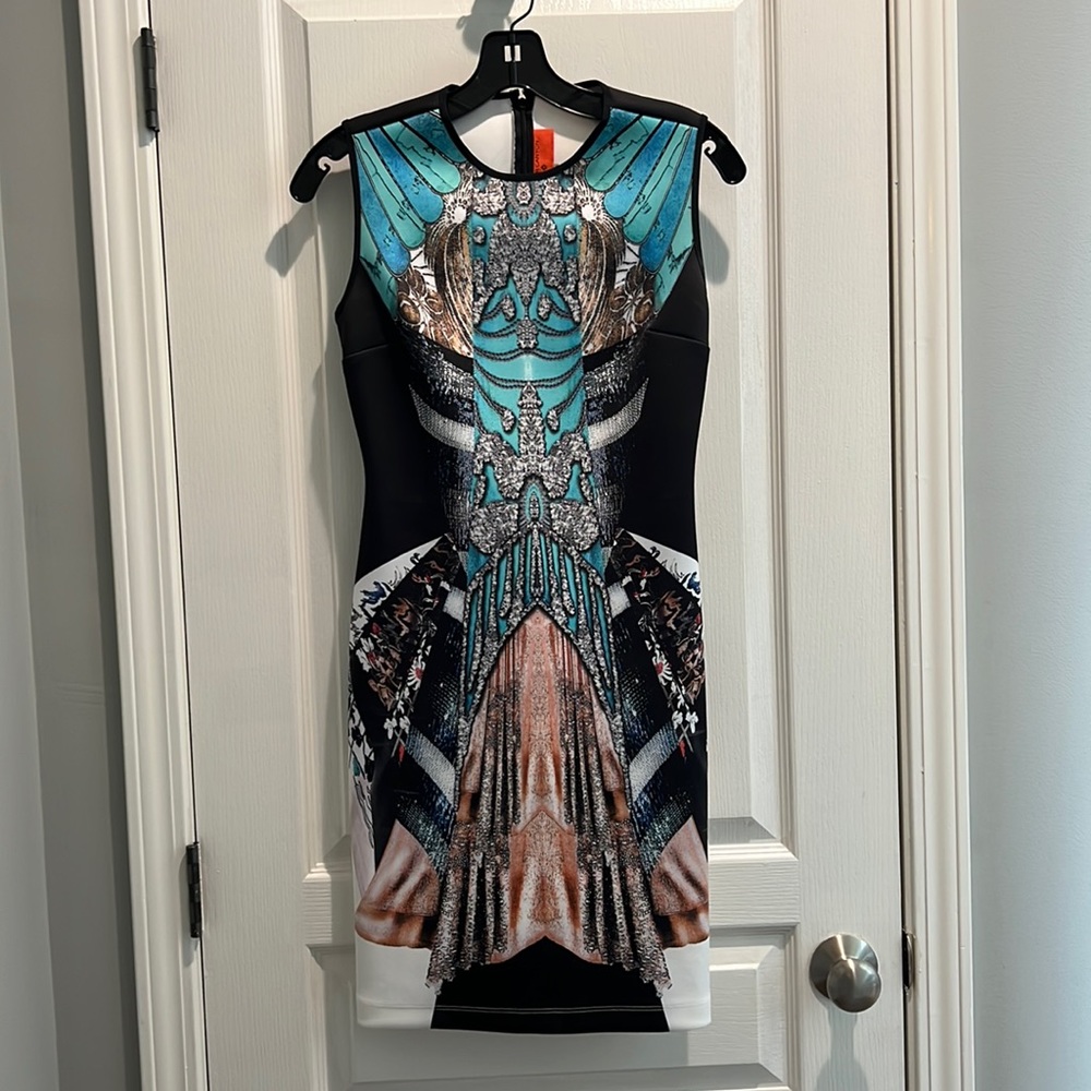 Gorgeous Clover Canyon sheath dress